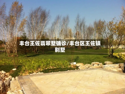 丰台王佐翡翠墅确诊/丰台区王佐镇别墅-第3张图片