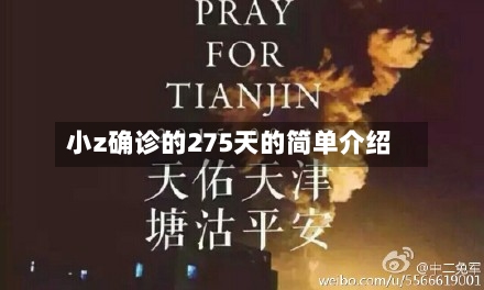 小z确诊的275天的简单介绍