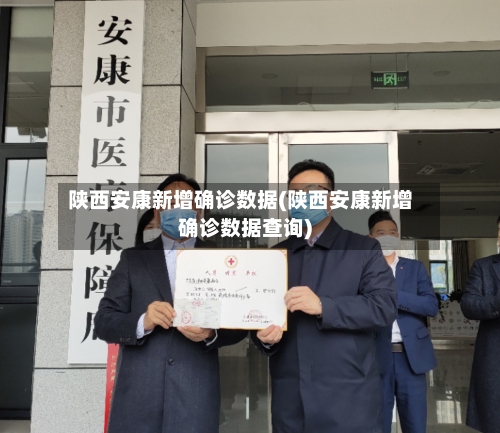 陕西安康新增确诊数据(陕西安康新增确诊数据查询)-第2张图片