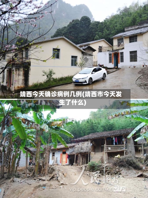 靖西今天确诊病例几例(靖西市今天发生了什么)