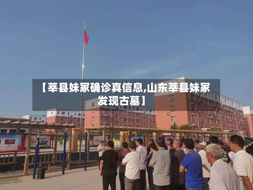 【莘县妹冢确诊真信息,山东莘县妹冢发现古墓】-第2张图片