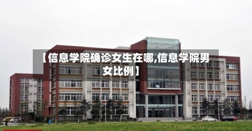 【信息学院确诊女生在哪,信息学院男女比例】-第3张图片