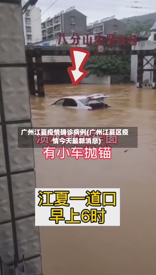 广州江夏疫情确诊病例(广州江夏区疫情今天最新消息)-第3张图片