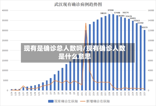 现有是确诊总人数吗/现有确诊人数是什么意思