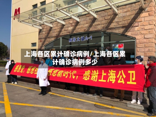 上海各区累计确诊病例/上海各区累计确诊病例多少