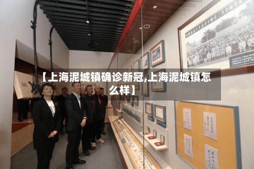 【上海泥城镇确诊新冠,上海泥城镇怎么样】-第2张图片