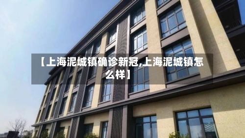 【上海泥城镇确诊新冠,上海泥城镇怎么样】-第3张图片