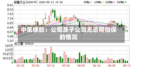 中策橡胶：公司及子公司无逾期担保的情况