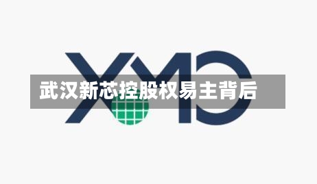武汉新芯控股权易主背后-第3张图片