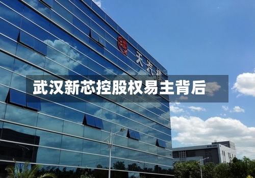 武汉新芯控股权易主背后-第2张图片