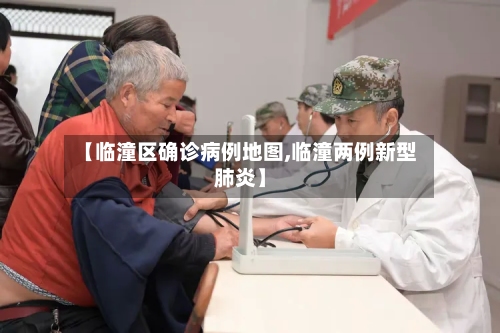 【临潼区确诊病例地图,临潼两例新型肺炎】