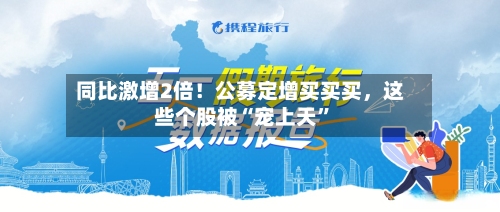 同比激增2倍！公募定增买买买，这些个股被“宠上天	”-第2张图片