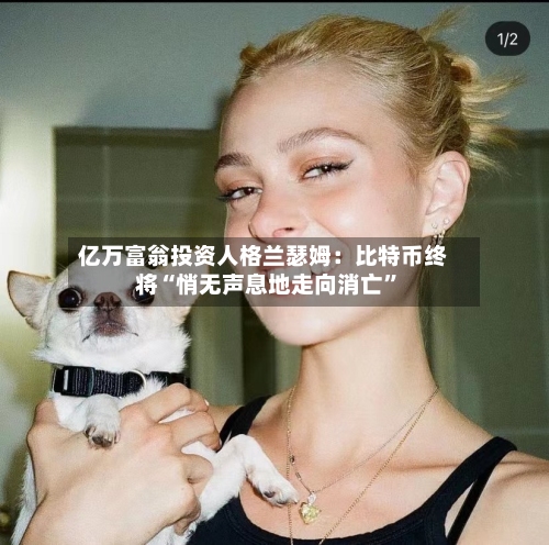 亿万富翁投资人格兰瑟姆：比特币终将“悄无声息地走向消亡	”-第3张图片