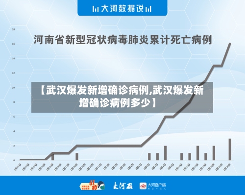 【武汉爆发新增确诊病例,武汉爆发新增确诊病例多少】-第2张图片