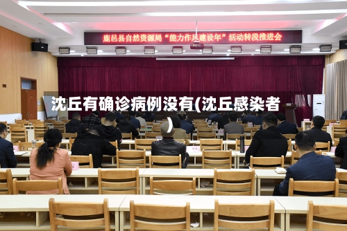 沈丘有确诊病例没有(沈丘感染者)-第3张图片