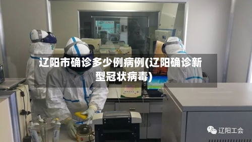 辽阳市确诊多少例病例(辽阳确诊新型冠状病毒)-第3张图片