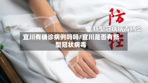 宜川有确诊病例吗吗/宜川是否有新型冠状病毒-第3张图片