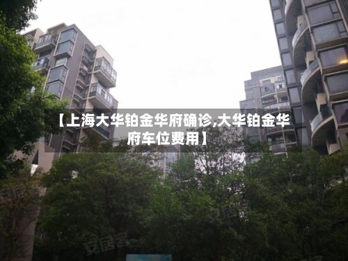 【上海大华铂金华府确诊,大华铂金华府车位费用】-第2张图片