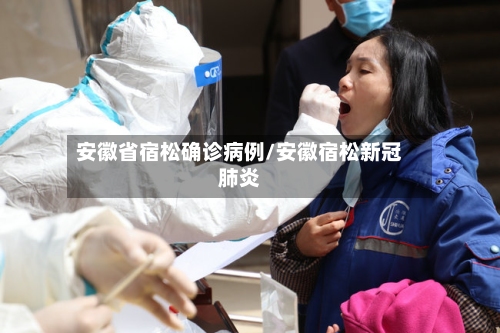 安徽省宿松确诊病例/安徽宿松新冠肺炎-第3张图片