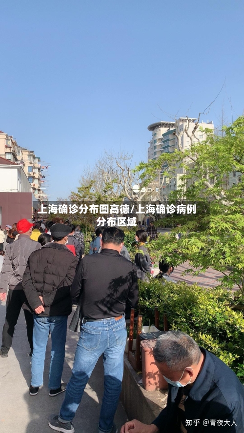 上海确诊分布图高德/上海确诊病例分布区域-第3张图片