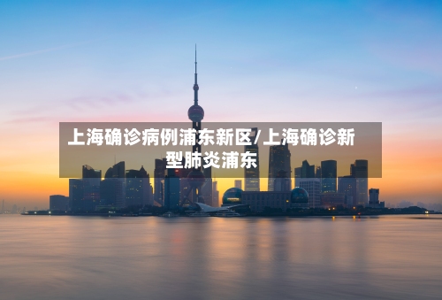 上海确诊病例浦东新区/上海确诊新型肺炎浦东-第3张图片