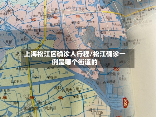 上海松江区确诊人行程/松江确诊一例是哪个街道的