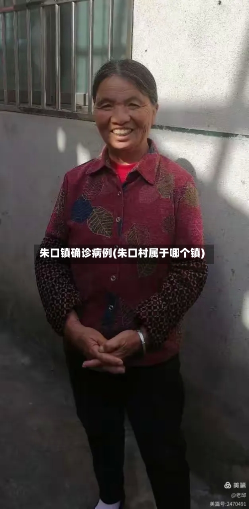 朱口镇确诊病例(朱口村属于哪个镇)-第3张图片