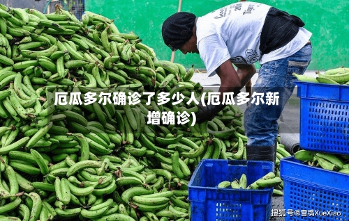厄瓜多尔确诊了多少人(厄瓜多尔新增确诊)-第2张图片