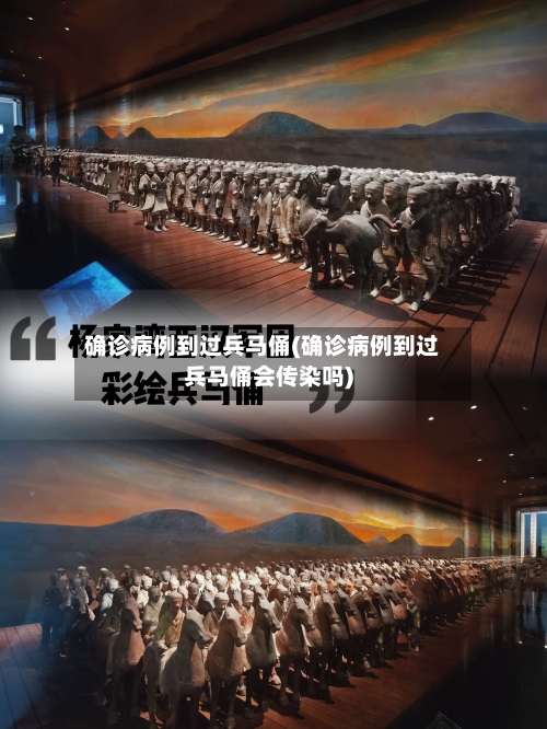 确诊病例到过兵马俑(确诊病例到过兵马俑会传染吗)-第3张图片