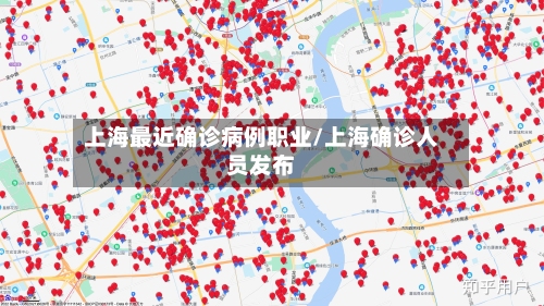 上海最近确诊病例职业/上海确诊人员发布-第2张图片