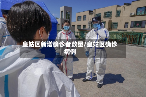 皇姑区新增确诊者数量/皇姑区确诊病例