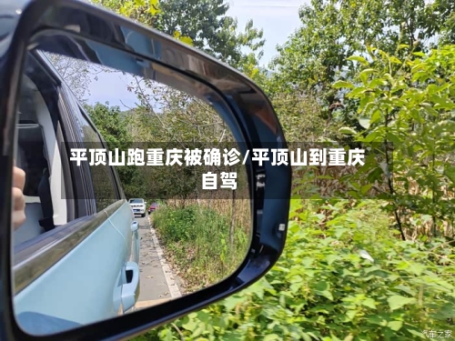 平顶山跑重庆被确诊/平顶山到重庆自驾