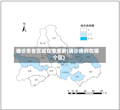 确诊患者区域在哪里看(确诊病例在哪个区)