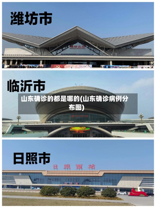 山东确诊的都是哪的(山东确诊病例分布图)-第2张图片