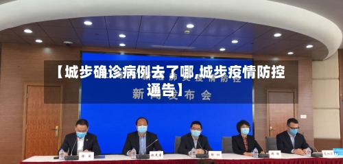 【城步确诊病例去了哪,城步疫情防控通告】