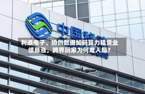 利通电子、协创数据加码算力租赁业绩暴涨	，跨界玩家为何难入局？-第3张图片