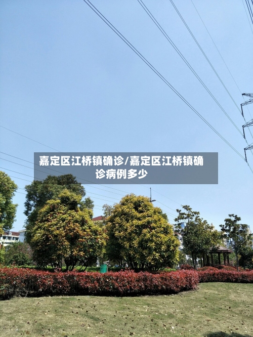 嘉定区江桥镇确诊/嘉定区江桥镇确诊病例多少-第2张图片