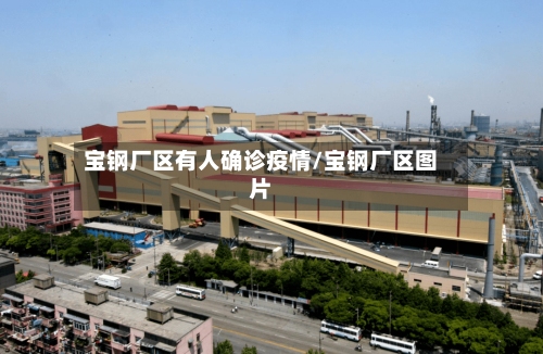 宝钢厂区有人确诊疫情/宝钢厂区图片-第2张图片