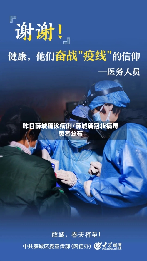 昨日薛城确诊病例/薛城新冠状病毒患者分布-第2张图片