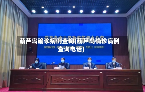葫芦岛确诊病例查询(葫芦岛确诊病例查询电话)-第2张图片