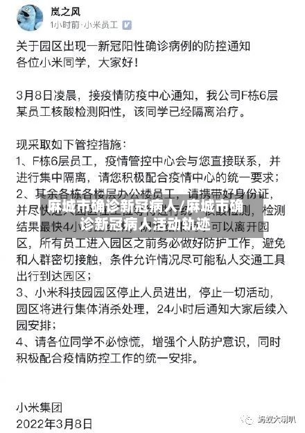 麻城市确诊新冠病人/麻城市确诊新冠病人活动轨迹