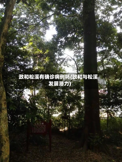 政和松溪有确诊病例吗(政和与松溪发展潜力)-第2张图片