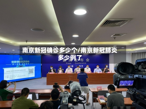 南京新冠确诊多少个/南京新冠肺炎多少例了-第2张图片