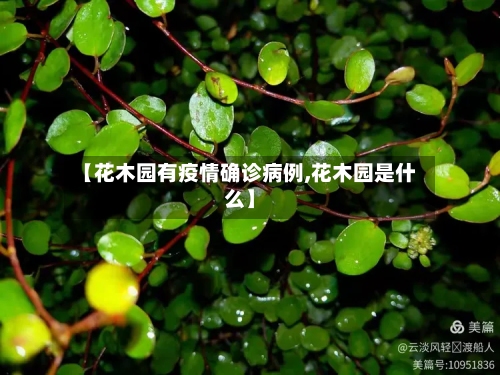【花木园有疫情确诊病例,花木园是什么】-第3张图片