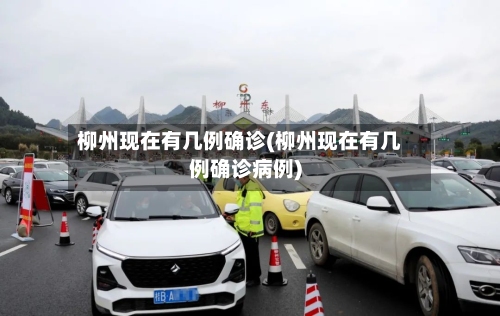 柳州现在有几例确诊(柳州现在有几例确诊病例)-第3张图片