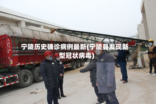宁陵历史确诊病例最新(宁陵县发现新型冠状病毒)