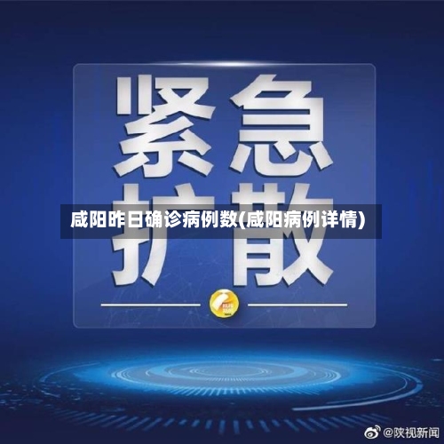 咸阳昨日确诊病例数(咸阳病例详情)-第2张图片