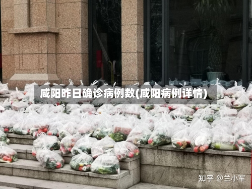咸阳昨日确诊病例数(咸阳病例详情)-第3张图片