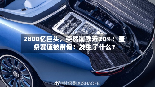 2800亿巨头	，突然崩跌近20%！整条赛道被带偏！发生了什么？-第2张图片