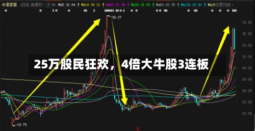 25万股民狂欢，4倍大牛股3连板-第2张图片